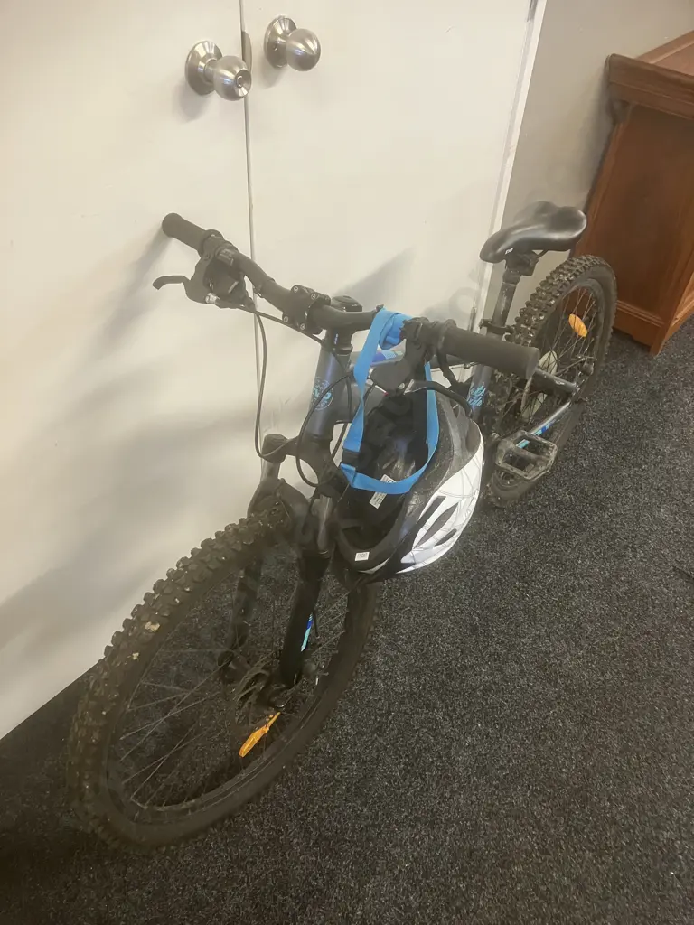 EVO Grey & Blue "Lets Ride" Bicycle Image 1++