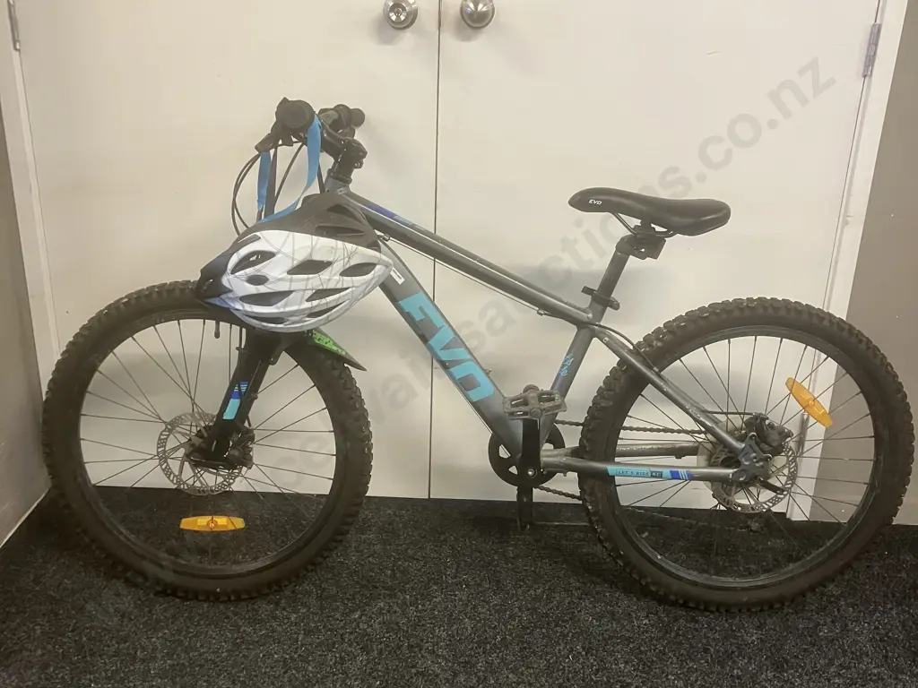 EVO Grey & Blue "Lets Ride" Bicycle Image 1++