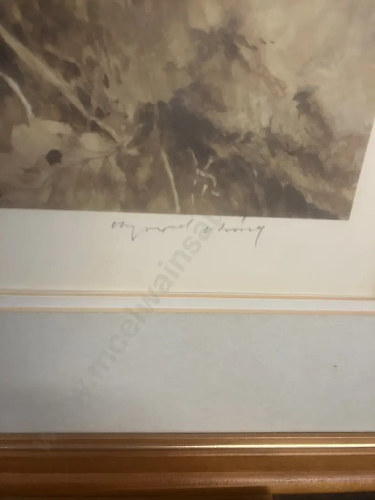 Raymond Ching "Kingfisher" Signed Limited Edition Print #295 / 850. Glaze & Matted Frame. 90 x 74cm Image 1++
