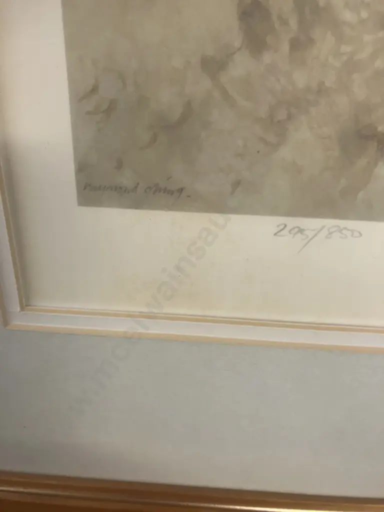 Raymond Ching "Kingfisher" Signed Limited Edition Print #295 / 850. Glaze & Matted Frame. 90 x 74cm Image 1++