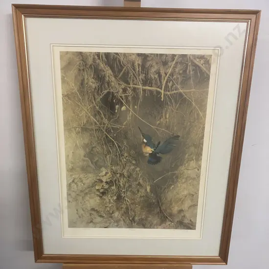 Raymond Ching "Kingfisher" Signed Limited Edition Print #295 / 850. Glaze & Matted Frame. 90 x 74cm