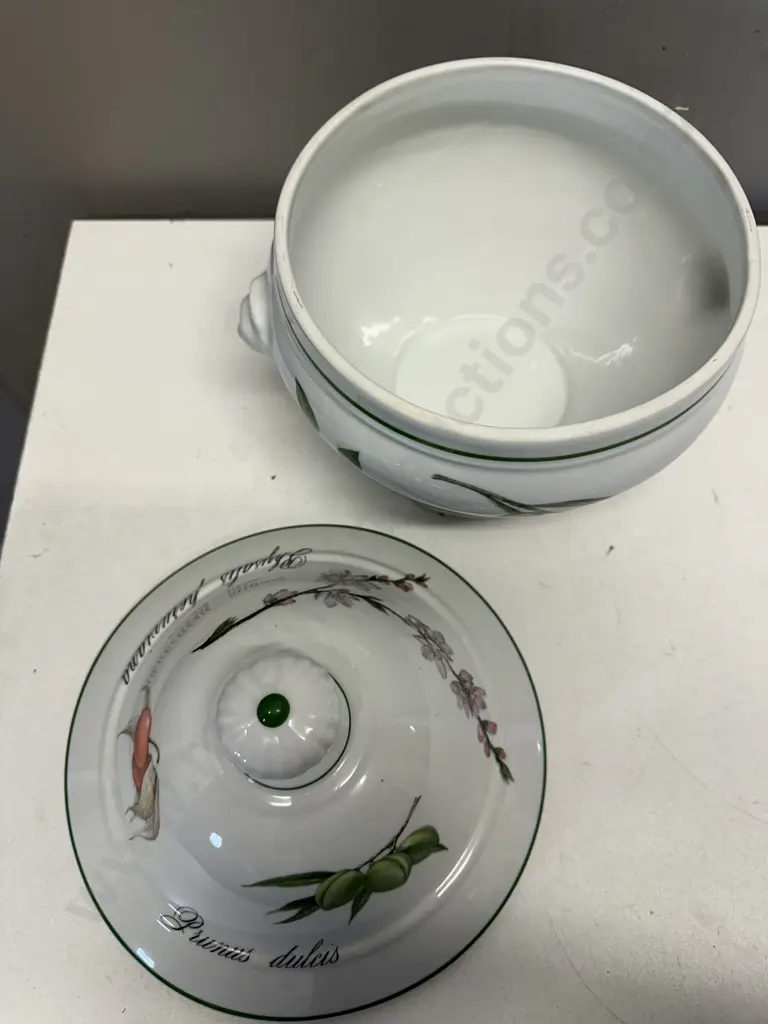 Apilco "Elysian Garden" Porcelain Soup Tureen Image 1++