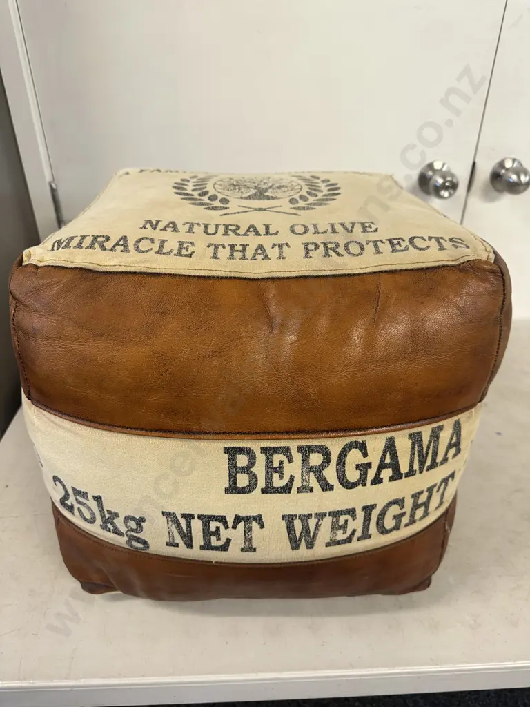 Buffalo Leather & Canvas Pouffe/Ottoman Image 1++