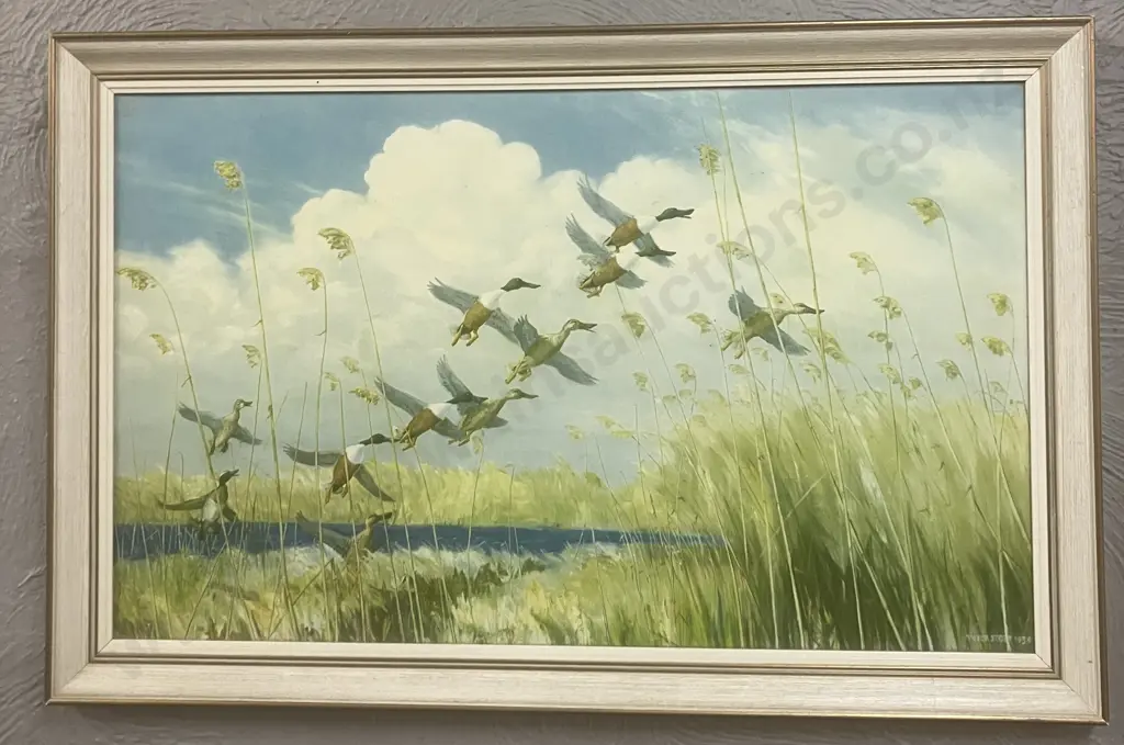 Peter Scott English Wildlife Artist (1909-1989) Vintage Framed Print - Ducks "Taking To Wing" 1934. 46.5 x 69.5cm Image 1++