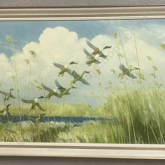 Peter Scott English Wildlife Artist (1909-1989) Vintage Framed Print - Ducks "Taking To Wing" 1934. 46.5 x 69.5cm