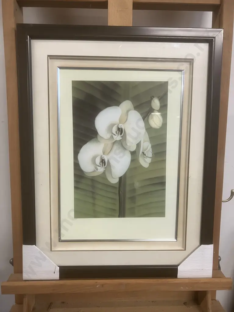 Andrea Trivelli "Orchid With Palm II" Art Print in a Glazed & Matted Frame. 54 x 42cm Image 1++