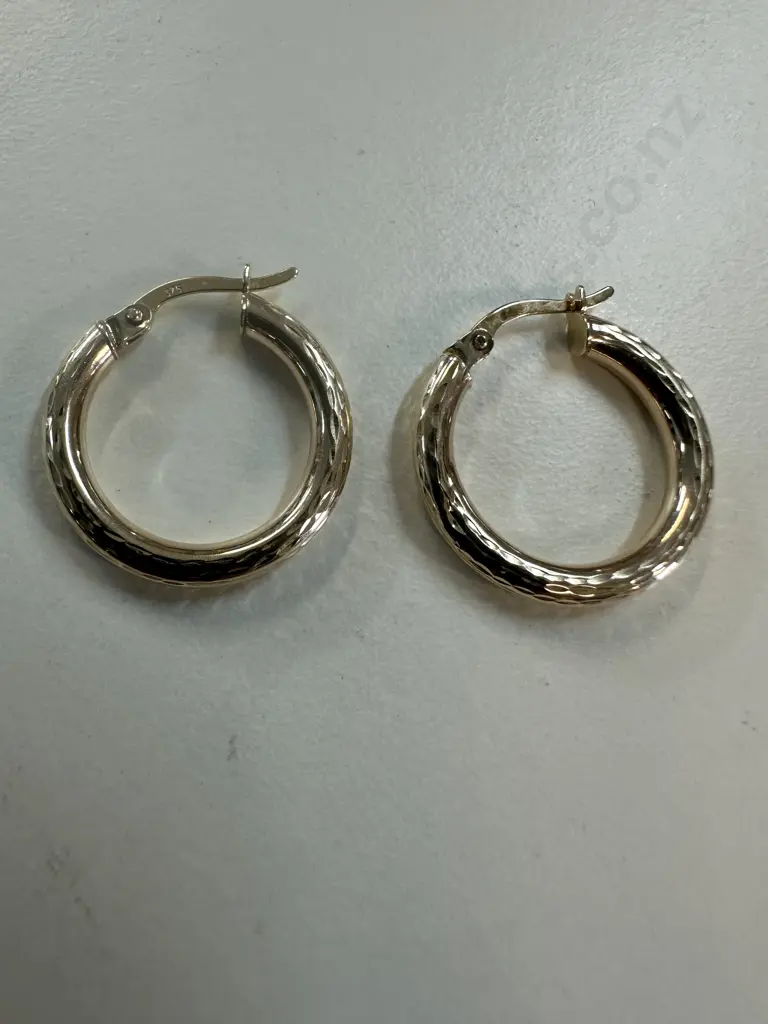 Pair Of Stamped 375 Gold Earrings Image 1++