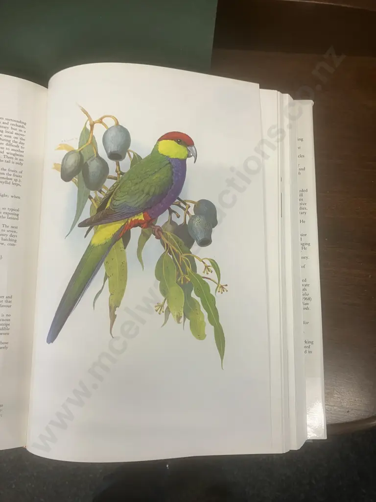 Parrots Of The World 3rd Revised Edition 1989 & Australian Parrots 1968 - JM Forshaw Image 1++