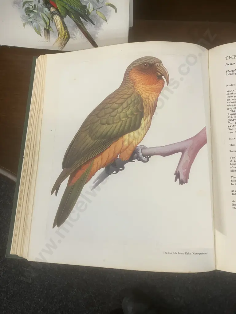 Parrots Of The World 3rd Revised Edition 1989 & Australian Parrots 1968 - JM Forshaw Image 1++