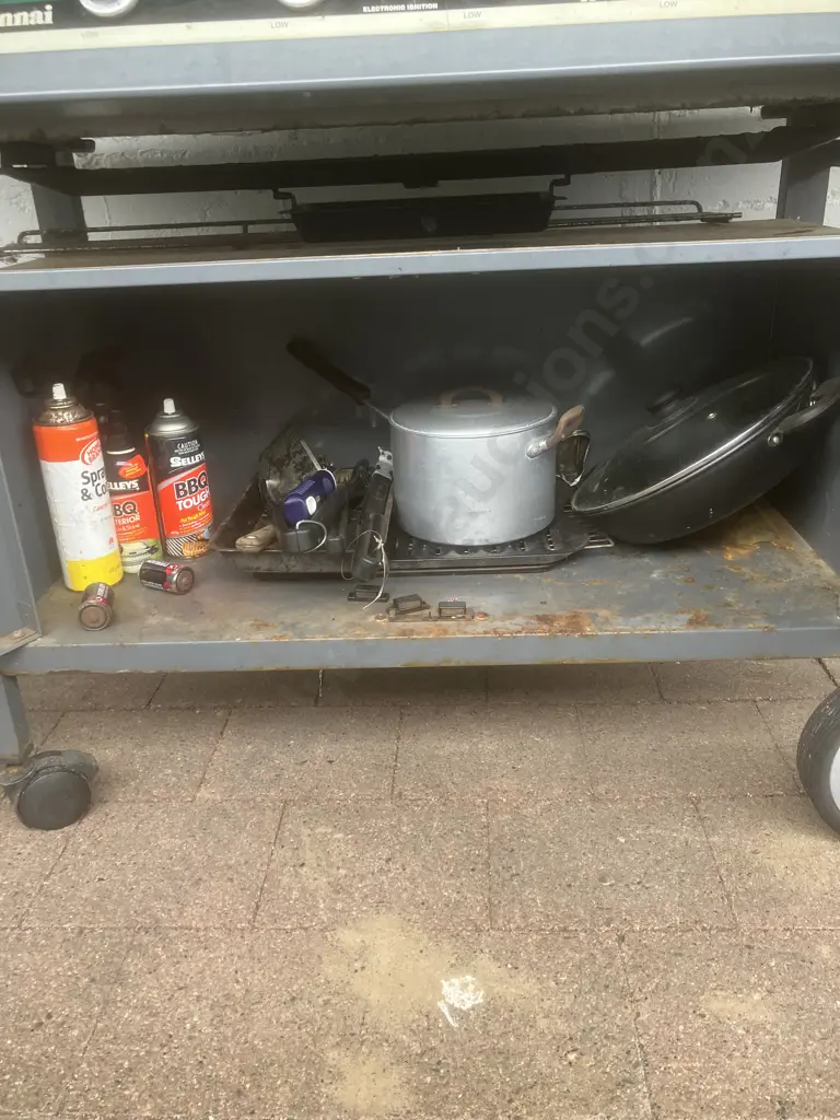 Rinnai Buffet Outdoor Kitchen Barbecue - Series 2000. With Manual, Tools, Rotisserie Etc Image 1++