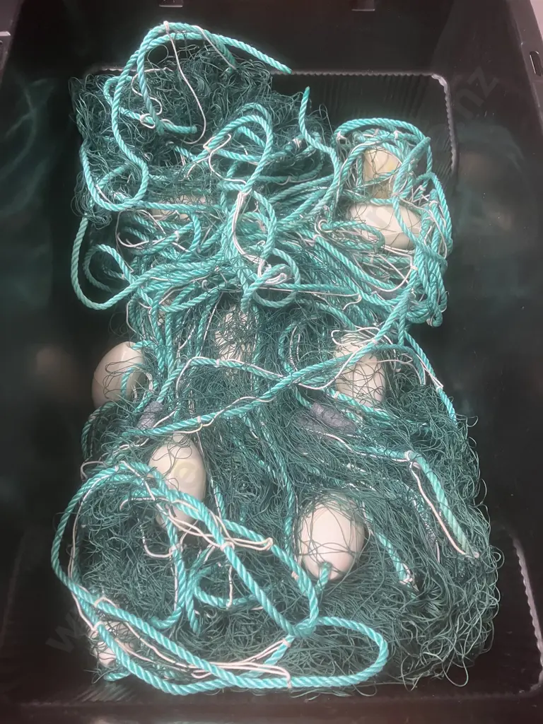 Flounder Net in Jobmate Storage Box With Lid Image 1++