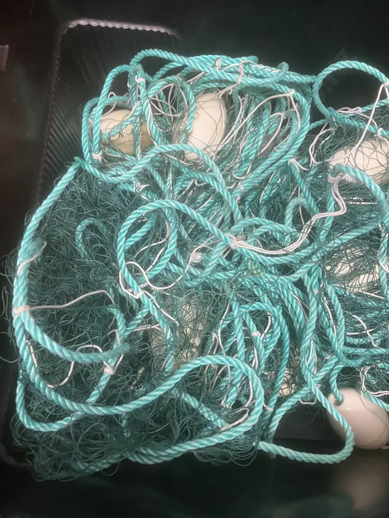 Flounder Net in Jobmate Storage Box With Lid Image 1++
