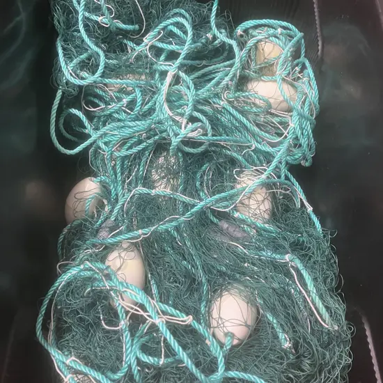 Flounder Net in Jobmate Storage Box With Lid