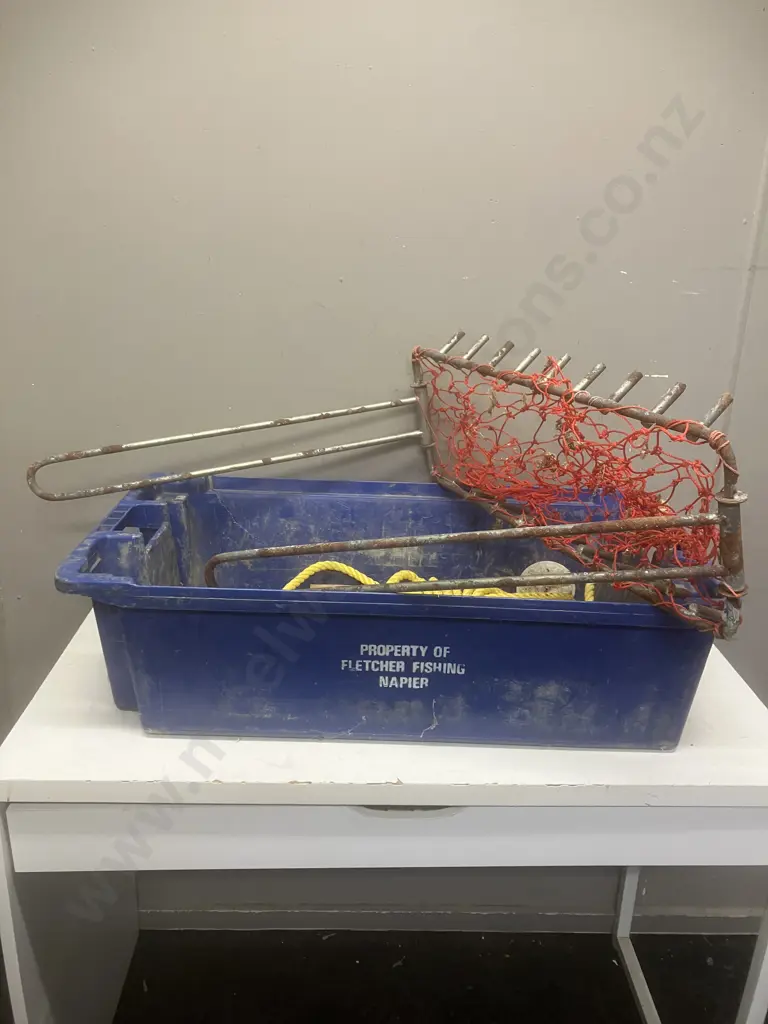 Scallop Dredge Net in Fish Bin Image 1++