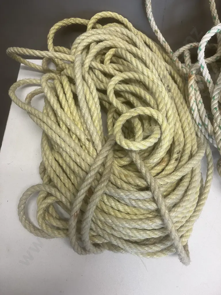 Rope & Float & Rope In Green Bin Image 1++