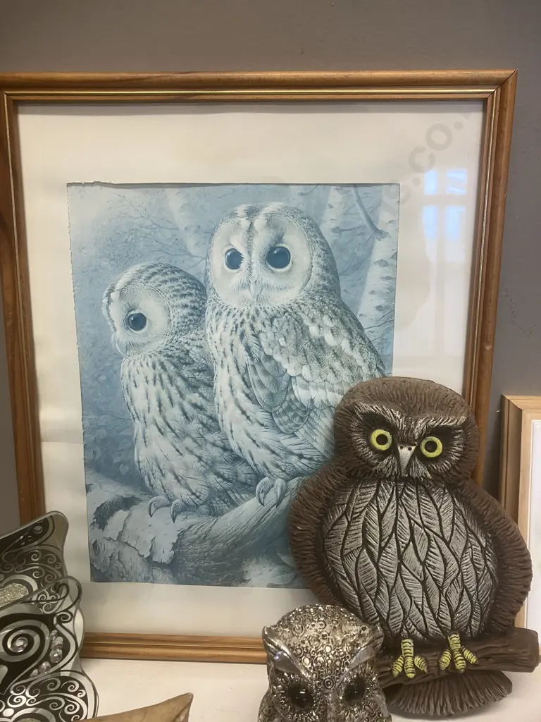 Large Collection of Owl Items - Figurines, Framed Print, Boxed Bookmark Etc Image 1++
