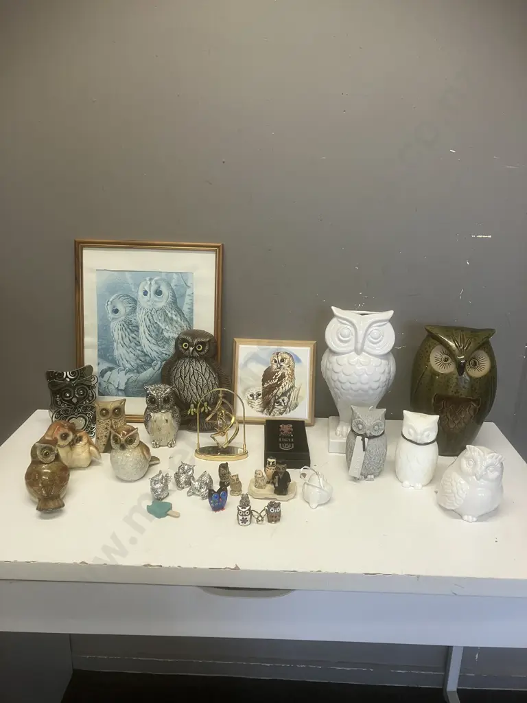 Large Collection of Owl Items - Figurines, Framed Print, Boxed Bookmark Etc Image 1++