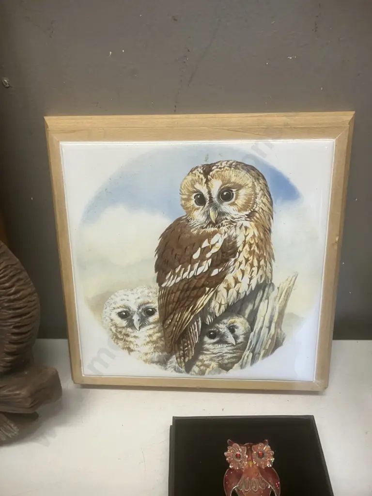 Large Collection of Owl Items - Figurines, Framed Print, Boxed Bookmark Etc Image 1++