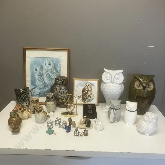 Large Collection of Owl Items - Figurines, Framed Print, Boxed Bookmark Etc