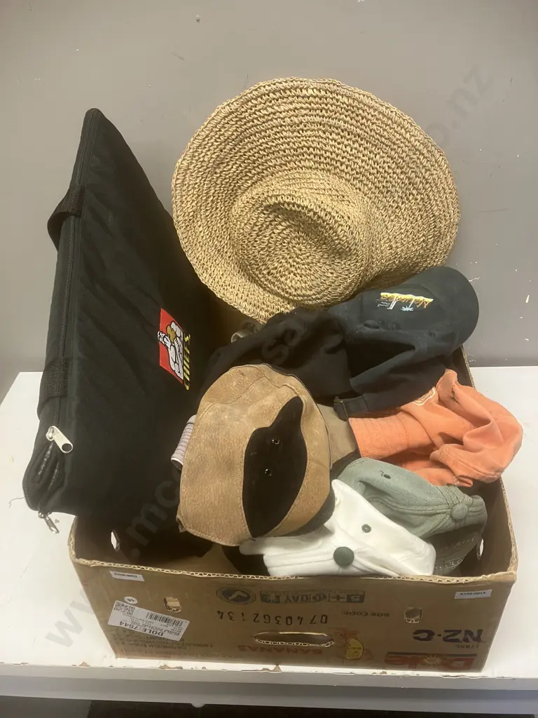 Box Lot - Caps, Chiefs Cushion, Hat Image 1++