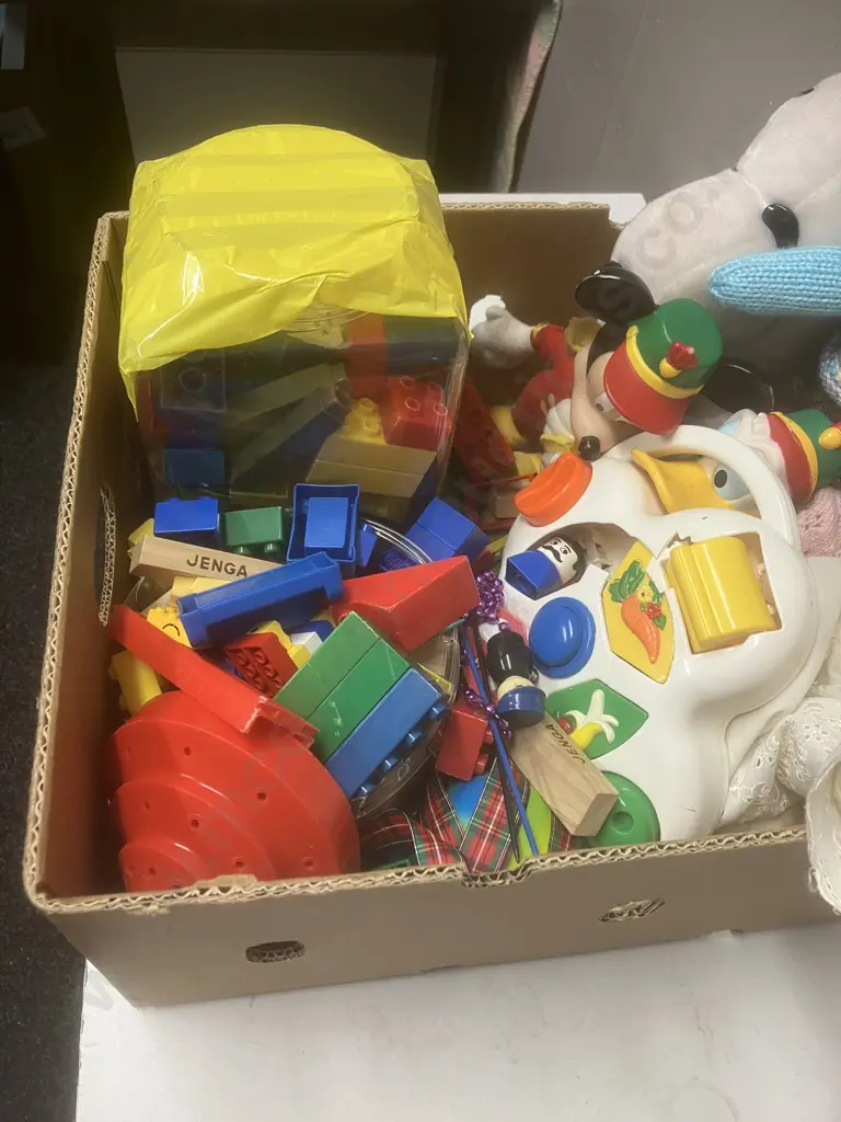 Box Lot - Soft Toys, Building Blocks Etc Image 1++