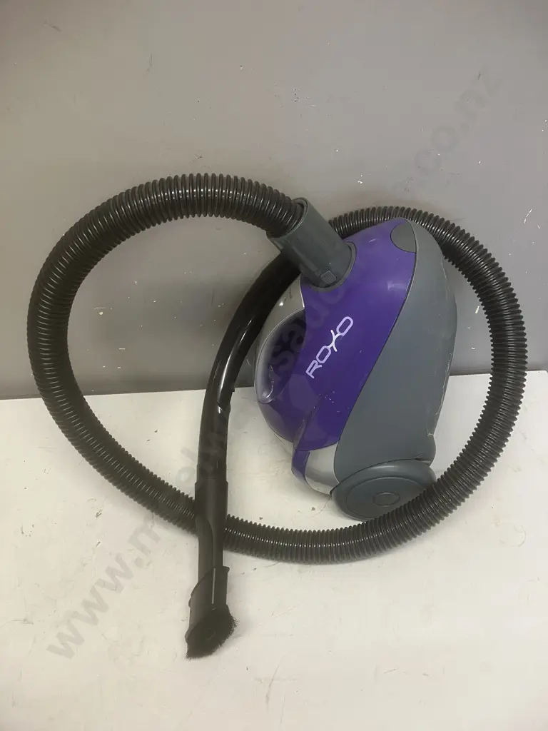Box Lot - Power Steamer, Dustflo Roxo Vacuum Cleaner, Vacuum Cleaner Bags Etc Image 1++