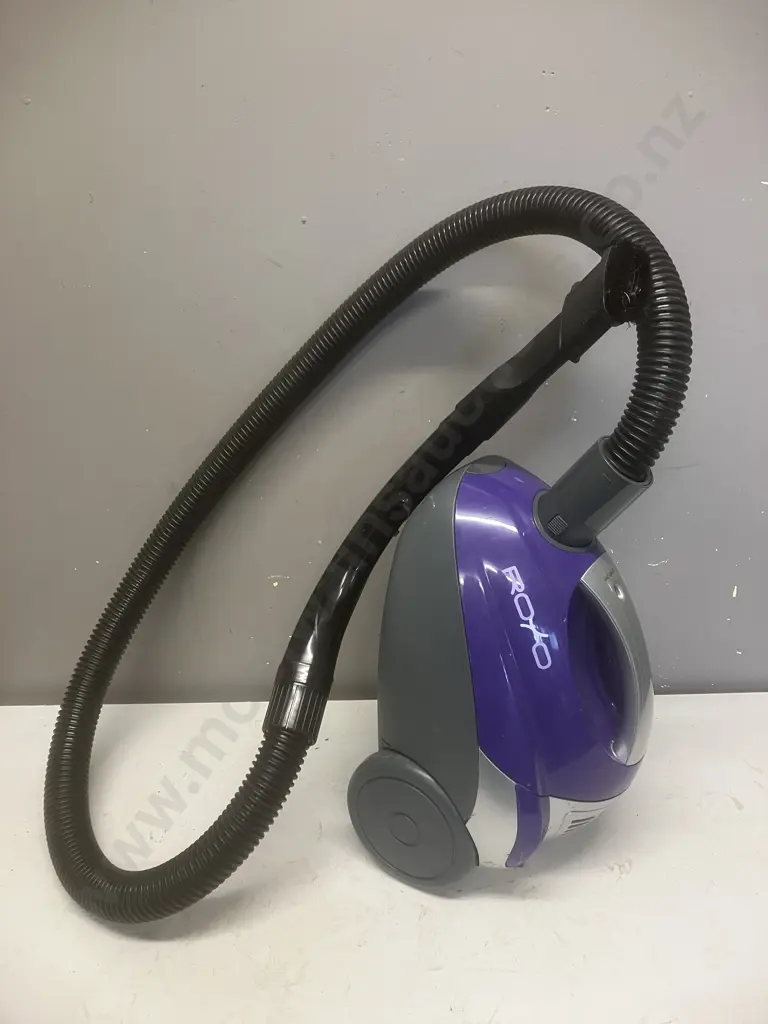 Box Lot - Power Steamer, Dustflo Roxo Vacuum Cleaner, Vacuum Cleaner Bags Etc Image 1++