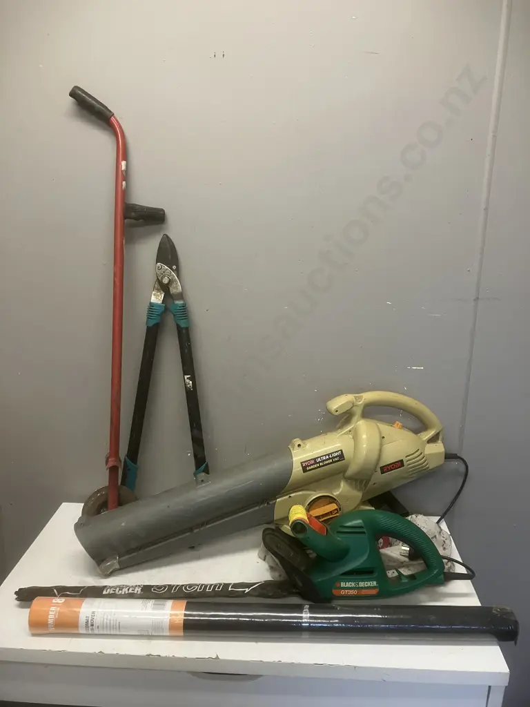 Ryobi Garden Blower, B&D Hedgetrimmer, Weedmat, Edger & Loppers Image 1++