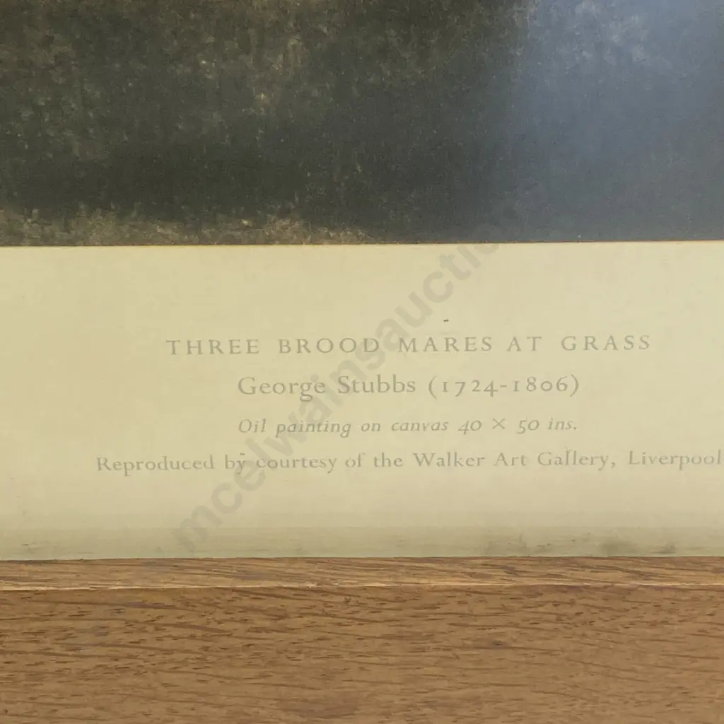 Oak Framed Print "Three Brood Mares At Grass" - George Stubbs (1724-1806), 65 x 77cm Image 1++