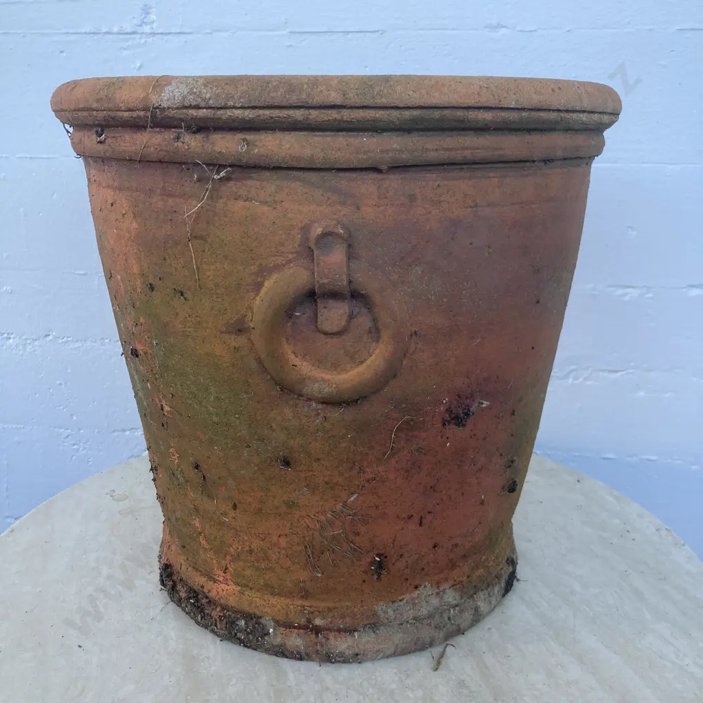 Terracotta Planter With Raised Ring Detail, 37 x 38cm Image 1++