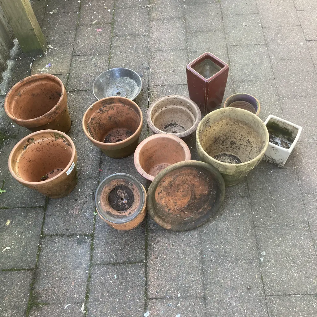 Assorted Smaller Plant Pots Etc Image 1++