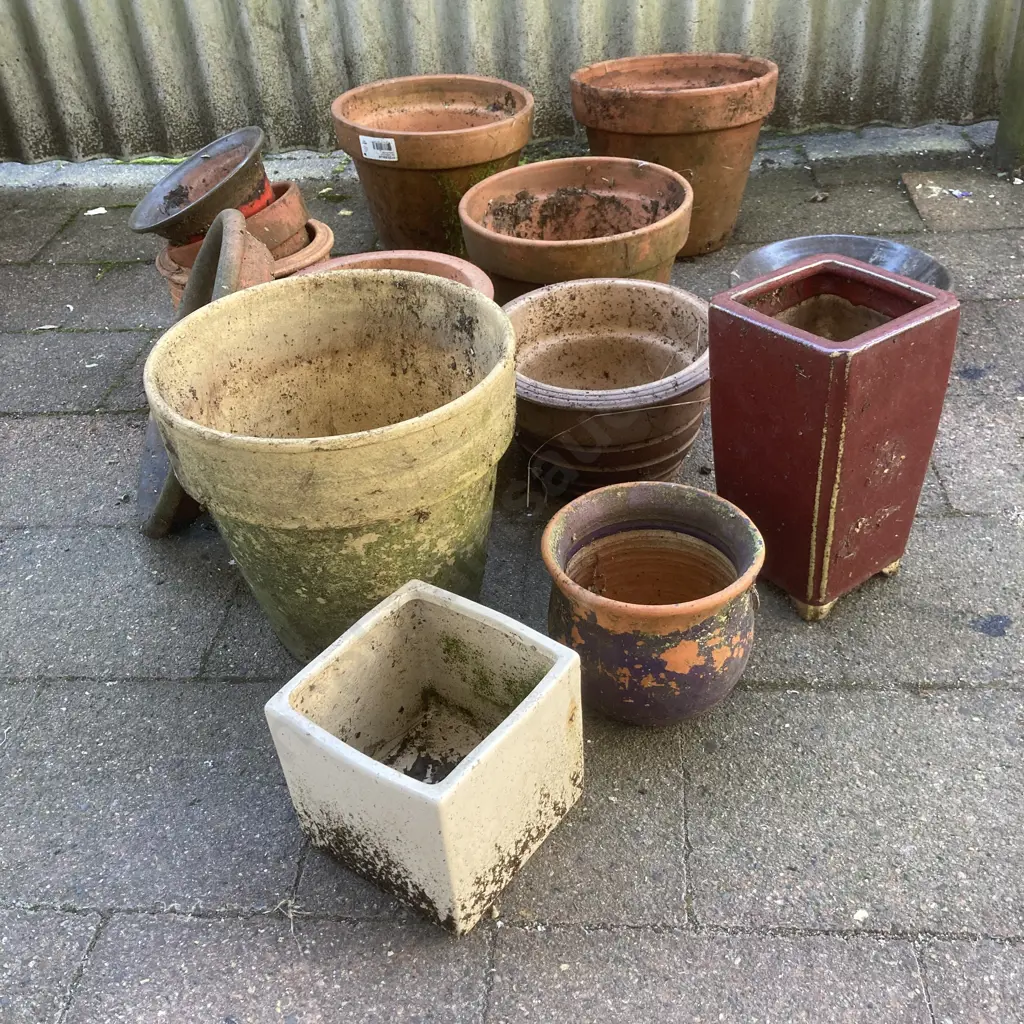 Assorted Smaller Plant Pots Etc Image 1++
