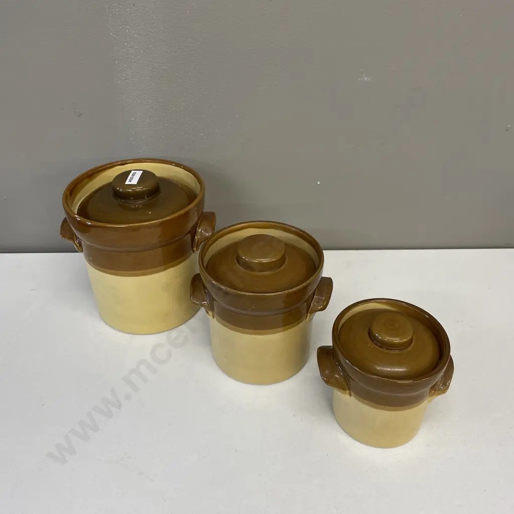 Trio of graduating sized T G and Green Lidded Pottery Cannisters Image 1++