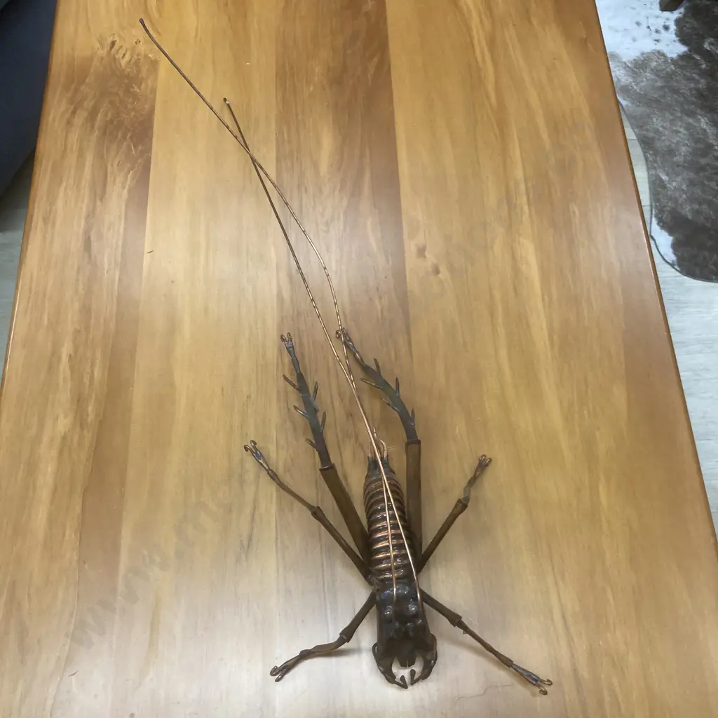 Large Copper Weta, L71cm Image 1++