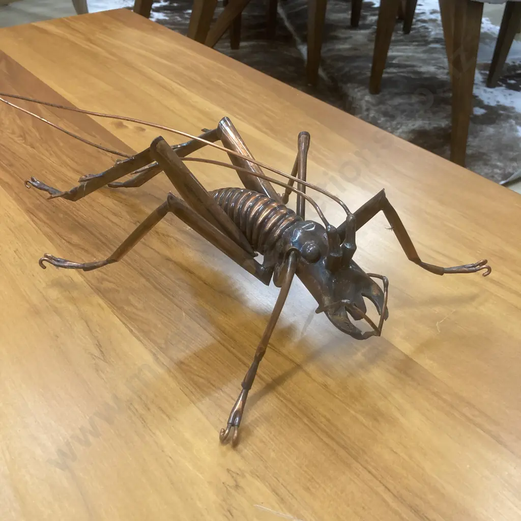 Large Copper Weta, L71cm Image 1++
