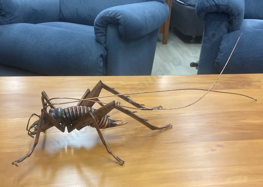Large Copper Weta, L71cm Image 1++