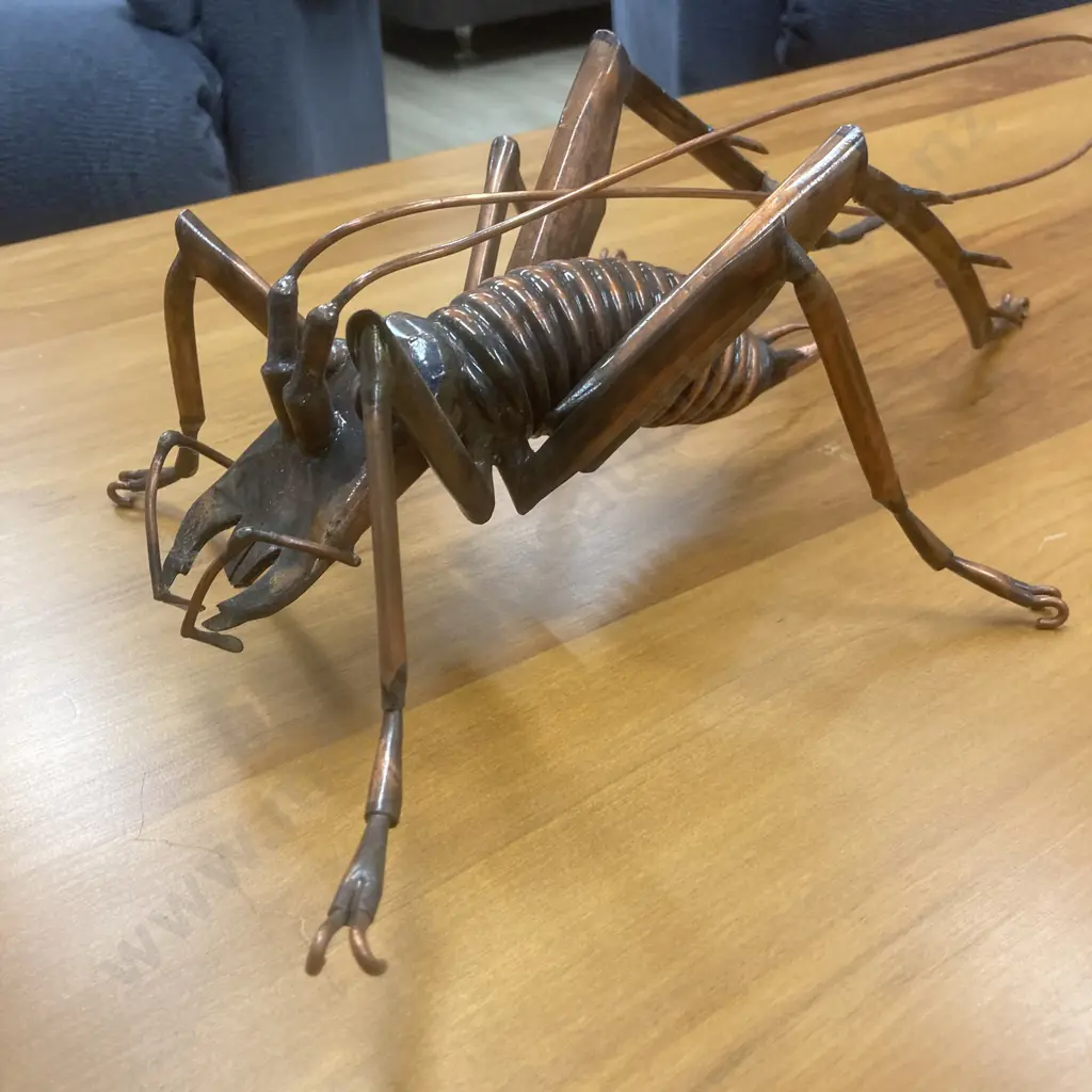 Large Copper Weta, L71cm Image 1++