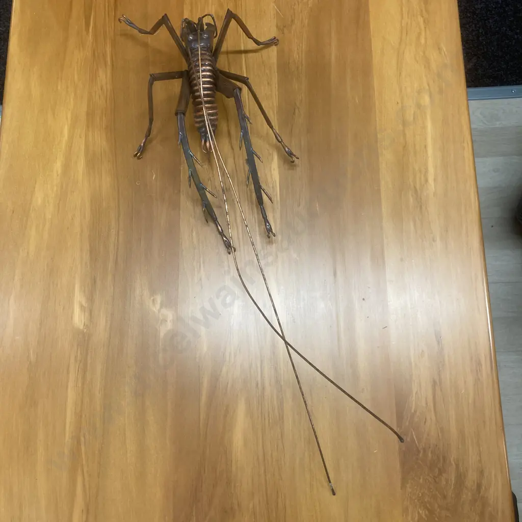 Large Copper Weta, L71cm Image 1++