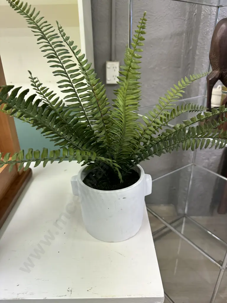 Faux Fern In White Pot Image 1++