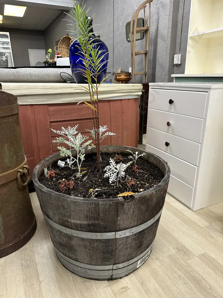 Oak 1/2 Wine Barrel Planter With Plants, 47 x 70.5cm Image 1++