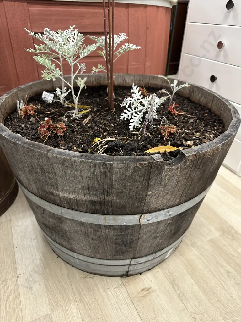 Oak 1/2 Wine Barrel Planter With Plants, 47 x 70.5cm Image 1++
