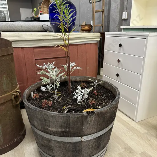 Oak 1/2 Wine Barrel Planter With Plants, 47 x 70.5cm