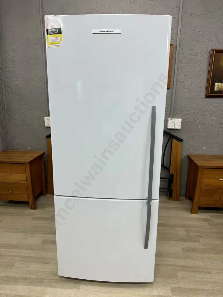Fisher & Paykel ActiveSmart 442 Litre Fridge Freezer - Model E442BLE4, #EPG799653 Image 1++