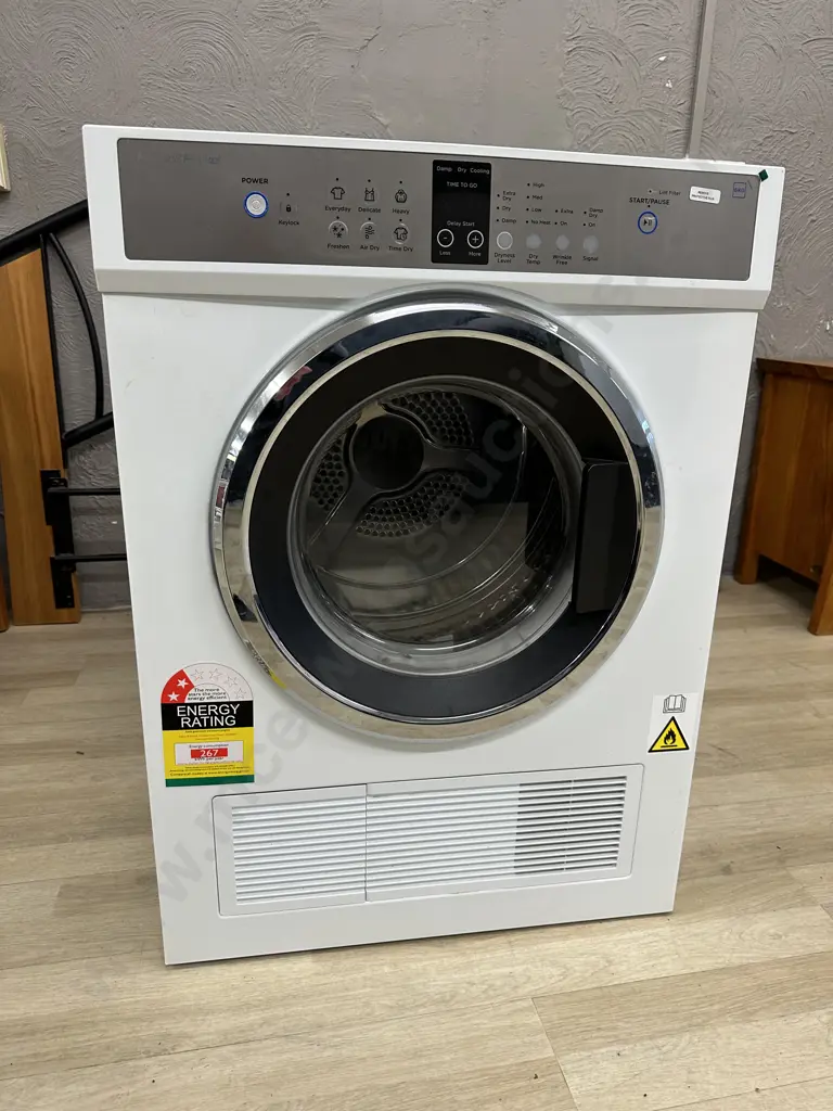 Fisher & Paykel 6Kg Dryer - DE6060Gl Image 1++