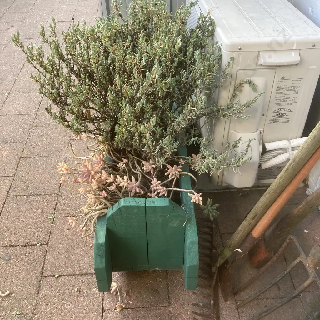 Assorted Succulents In Green Painted Wooden Trough Planter, H32 W118 D26cm Image 1++