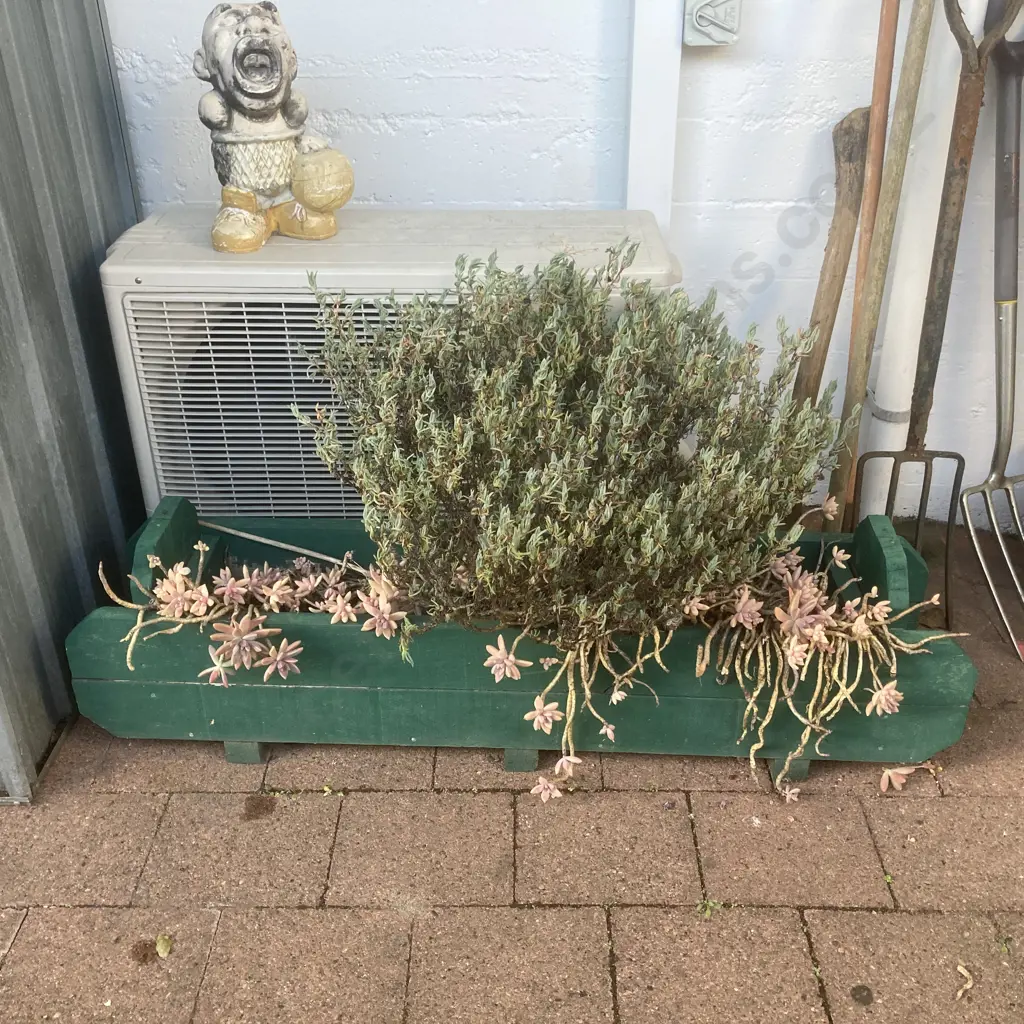 Assorted Succulents In Green Painted Wooden Trough Planter, H32 W118 D26cm Image 1++