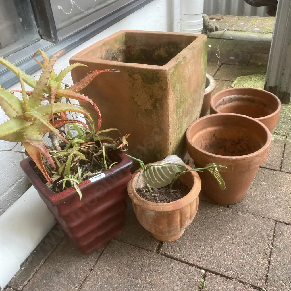 Lot of 6 Garden Pots, Aloe Vera Plant Etc Image 1++