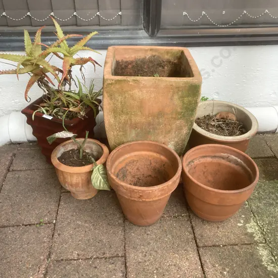 Lot of 6 Garden Pots, Aloe Vera Plant Etc