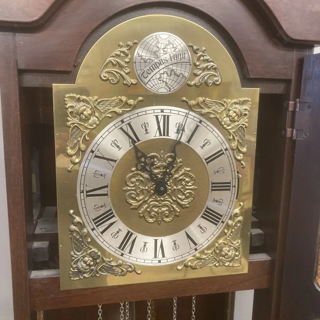 Tempus Fugit Longcase Grandfather Clock, H182cm Image 1++