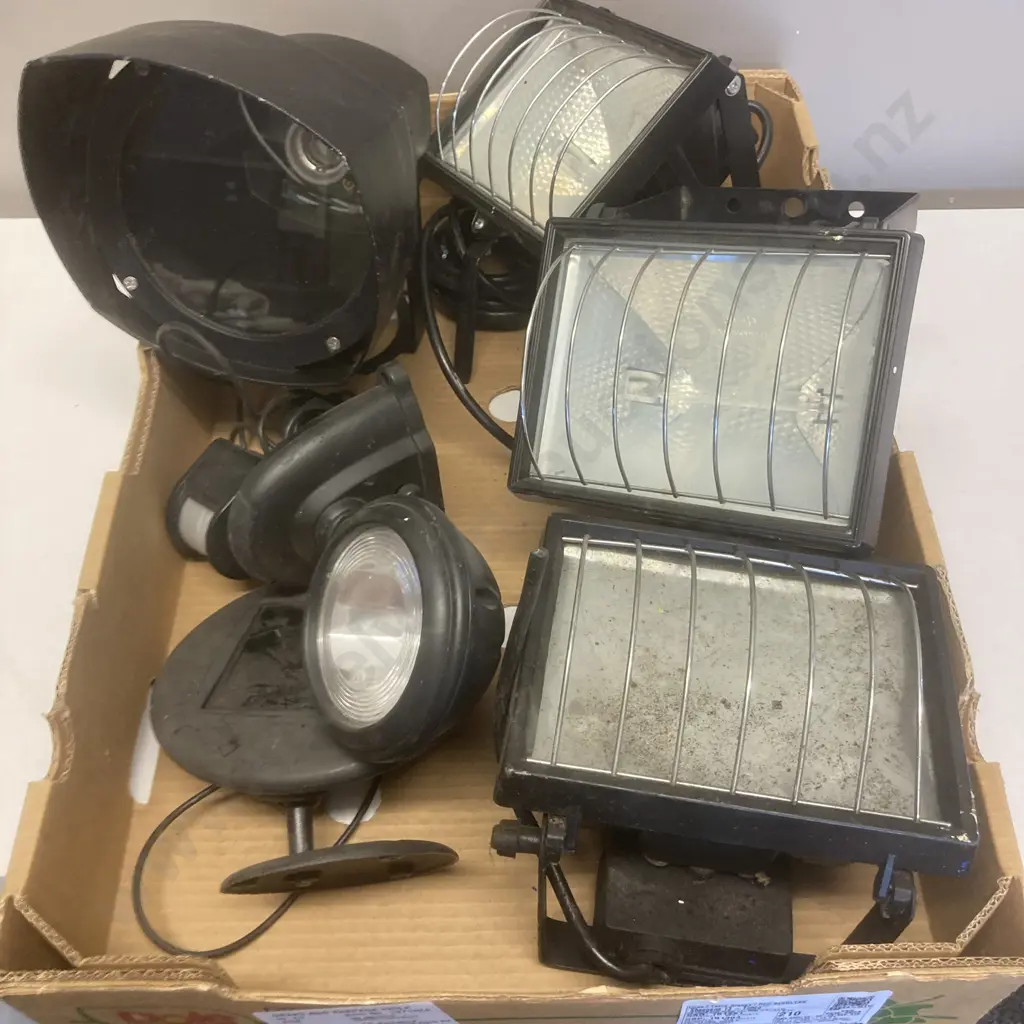 Box Lot Assorted Lights Image 1++